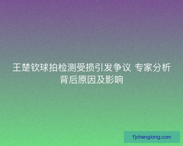 王楚钦球拍检测受损引发争议 专家分析背后原因及影响